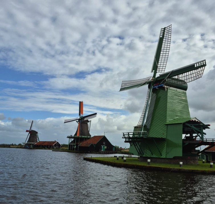 One Zaanse Schans windmill in the foreground with the rest of the row behind