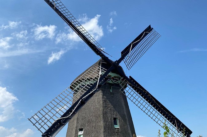 The sails and cap of a Zaanse Schans windmill seen from directly below