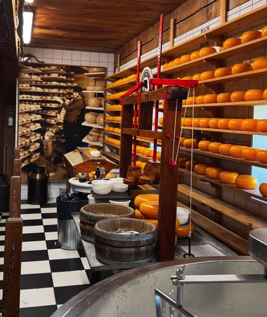 Racks of ripening wheels in the cheese warehouse at the Zaanse Schans