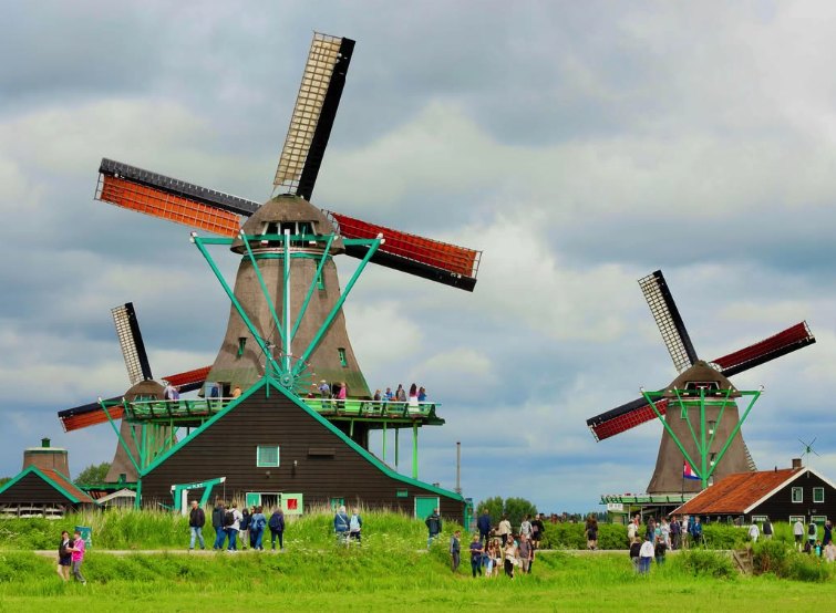The row of Zaanse Schans windmills seen from the meadow below the dike