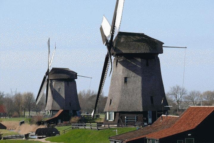 Two Zaanse Schans windmills standing in open meadow