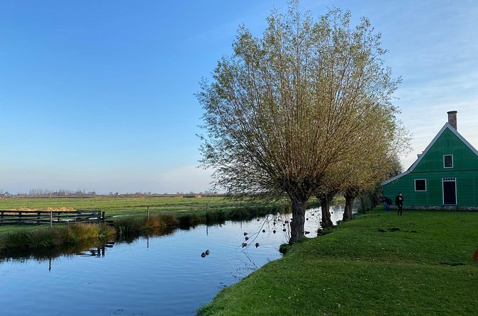 Green Zaan timber houses along a polder ditch with a bare willow beside them