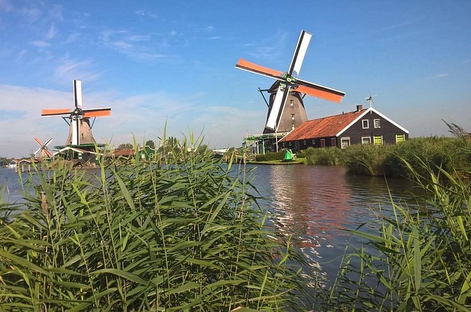 Two Zaanse Schans windmills seen across the reeds of the Zaan riverbank